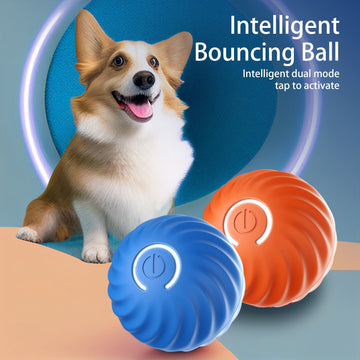 Self-moving Interactive Bouncing Ball