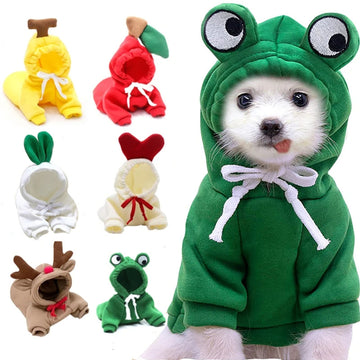 Winter Warm Cute Fruit Hoodie