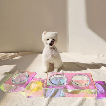 Acrylic Dazzling Pet Bowl