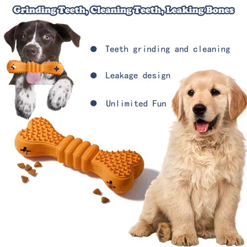 Dog Chew Toothbrush Cleaning Stick