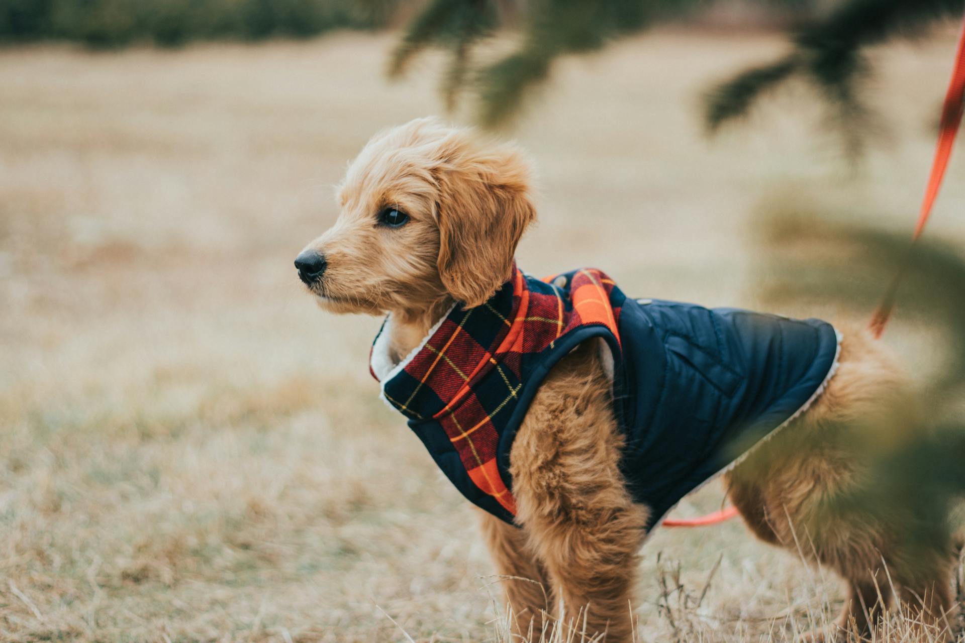 slider image slider_item_GbKfpi