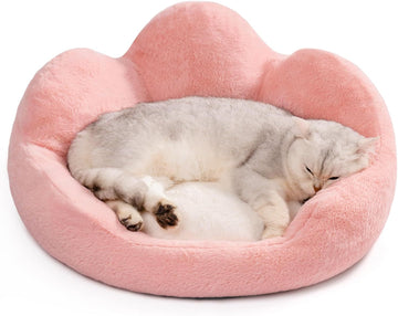 Fluffy Cat Couch Bed