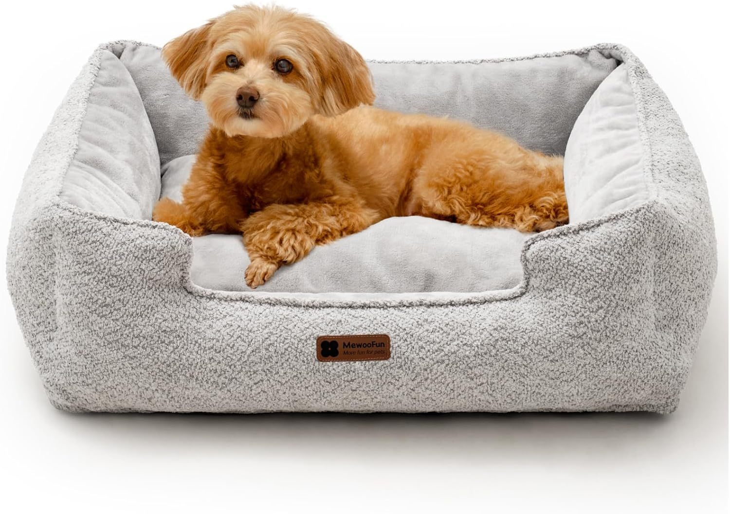 Fun Medium Dog Bed