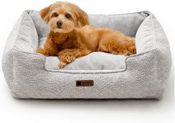 Fun Medium Dog Bed