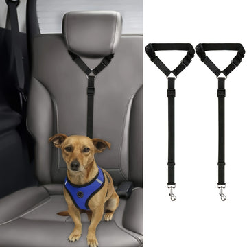 2 Piece Dog Leash Set