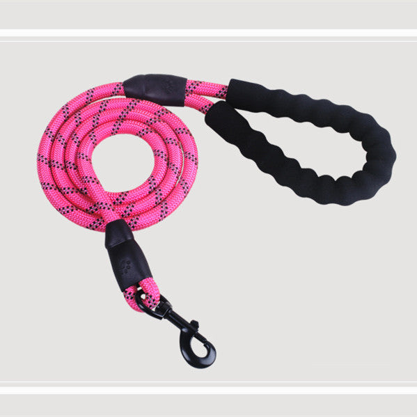Fashion Pet Leash Set